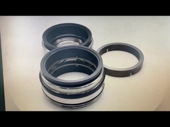 Fristam Seal GLRD FDS2 BCH-045 SIC-SIC-HNBR/C-TC-HNBR